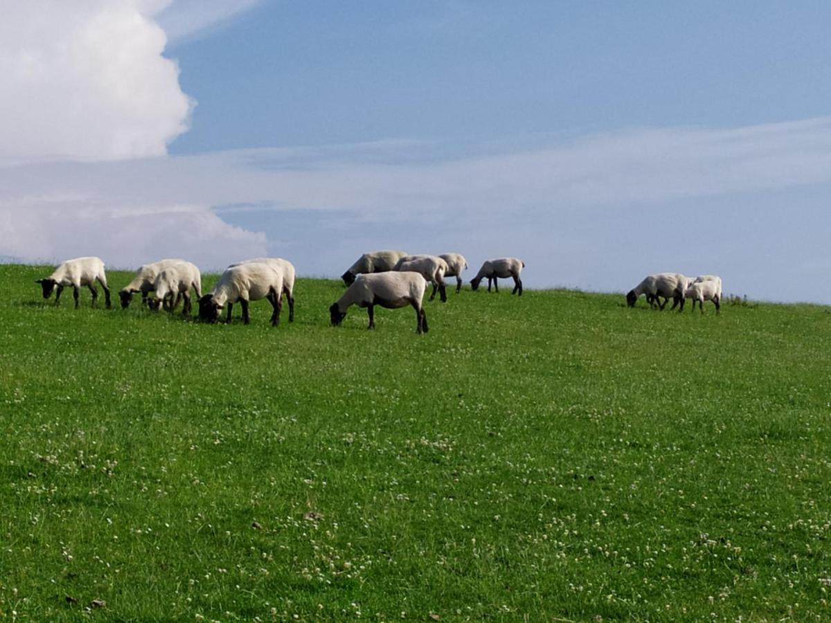 Ferienwohnung Zeit Fuer Uns Berumbur Екстериор снимка